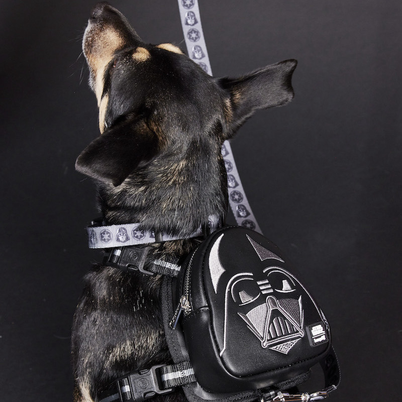 Image of dog wearing the Darth Vader Mini Backpack Harness, collar, and leash